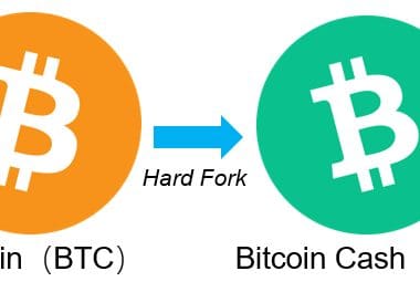 Fork Nedir?