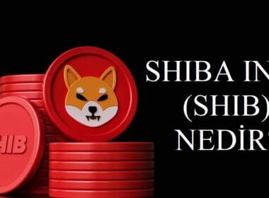 Shiba Inu (SHIB) Nedir? Nasıl Alınır? Geleceği, Künyesi, Satın Almadan Önce Bilinmesi Gerekenler