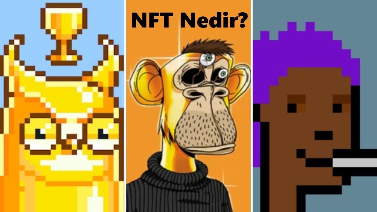 NFT (Non-Fungible Token) Nedir? Yeni Başlayanlar İçin NFT Rehberi