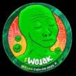 Wojak Nedir? Nasıl Alınır? Geleceği, Künyesi, Satın Almadan Önce Bilinmesi Gerekenler