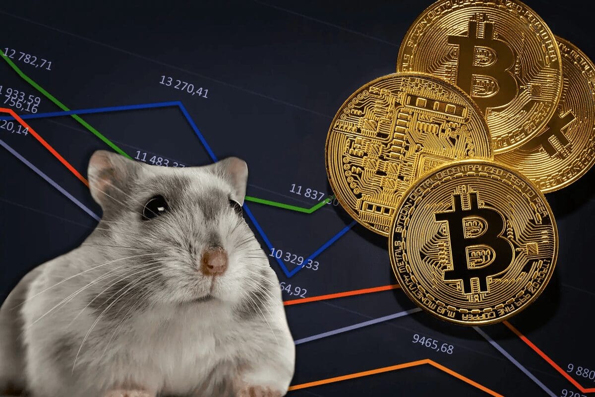 Hamster (HAM) Nedir? Nasıl Alınır? Geleceği, Künyesi, Satın Almadan Önce Bilinmesi Gerekenler