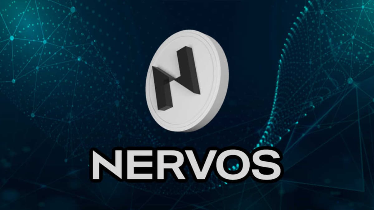 Nervos Network (CKB) Nedir? Nasıl Alınır? Geleceği, Künyesi, Satın Almadan Önce Bilinmesi Gerekenler