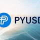 PayPal’ın PYUSD Stablecoini Solana Genişlemesinin Ardından Rekor Kırıyor