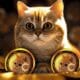 CatCoin (CAT) Nedir? Nasıl Alınır? Geleceği, Künyesi, Satın Almadan Önce Bilinmesi Gerekenler 