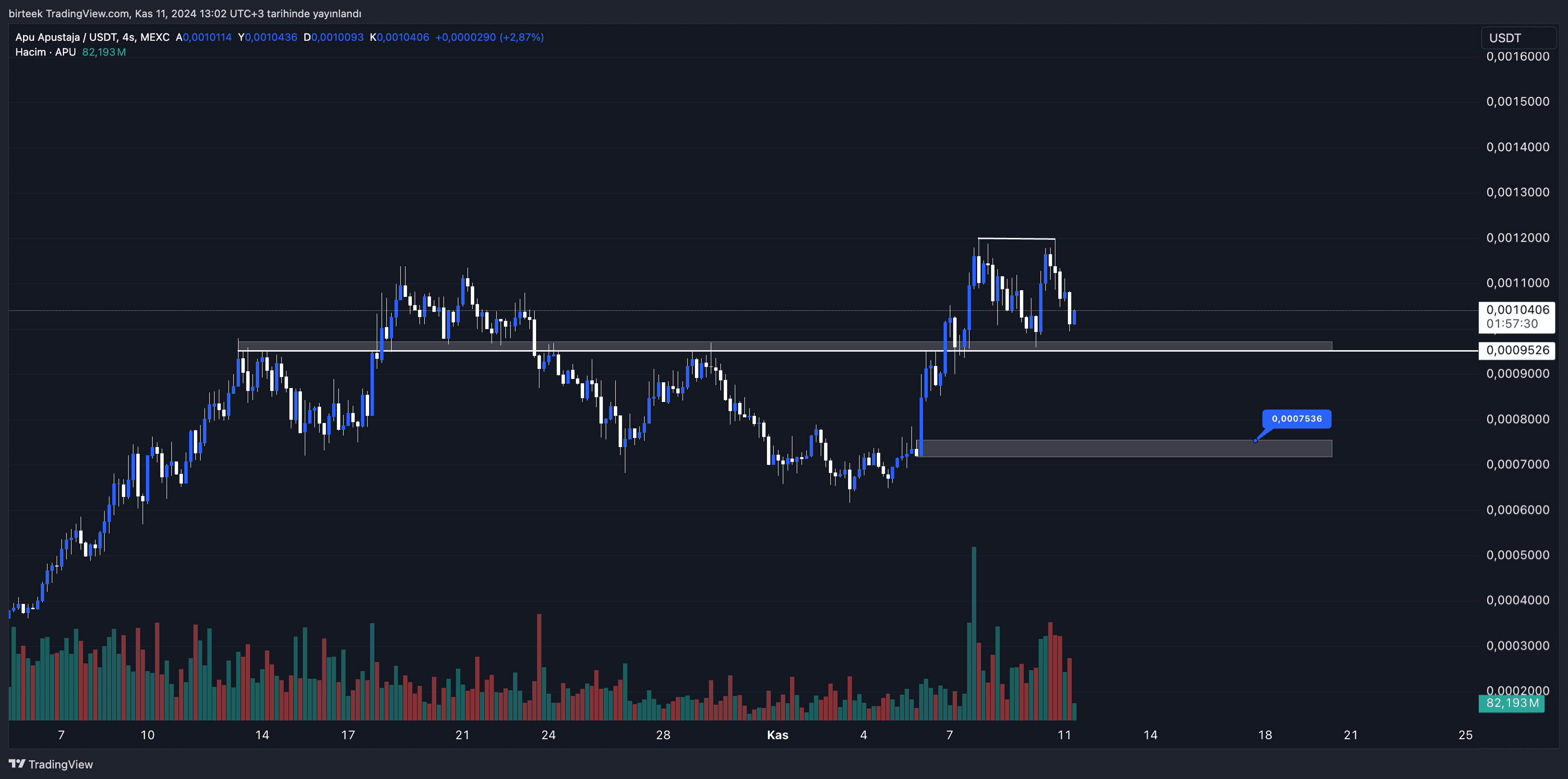 APU Coin Yorum ve Fiyat Analizi 11.11.2024 - Ninja News