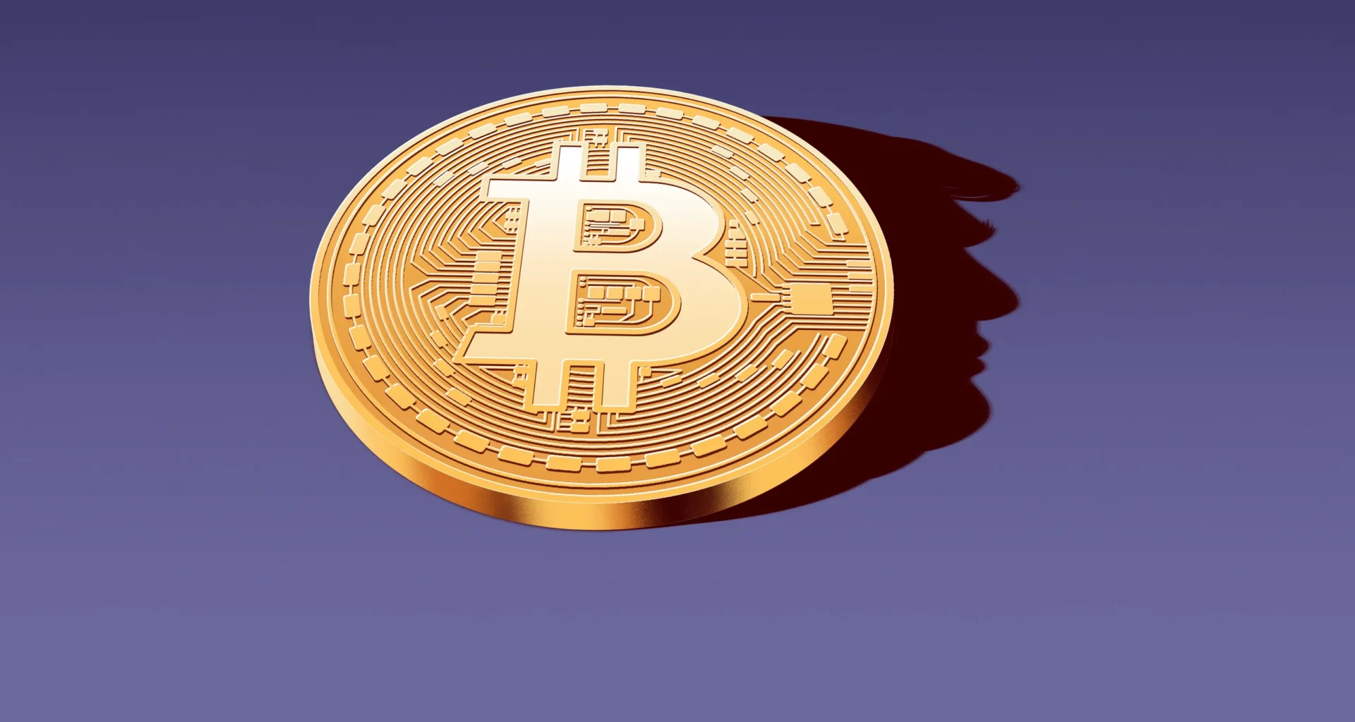 Bitcoin Balinaları, Fiyat Düşüşünü Fırsat Bildi!