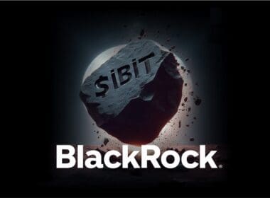 Blackrock’ın iShares Bitcoin Trust’ı (IBIT) Nedir?