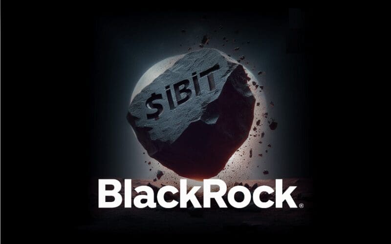 Blackrock’ın iShares Bitcoin Trust’ı (IBIT) Nedir?