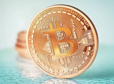 Bitcoin Fiyatı Düşerken, Balinalar Hangi Coin’lere Yöneldi?