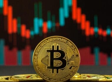 Balinalar, Son Yaşanan Düşüşte Binlerce Bitcoin Satın Aldı