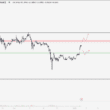 DOGE Yorum ve Fiyat Analizi 04.01.2024