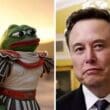 PEPE ve Elon Musk