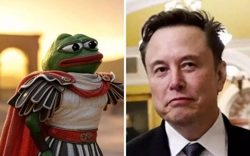 PEPE ve Elon Musk