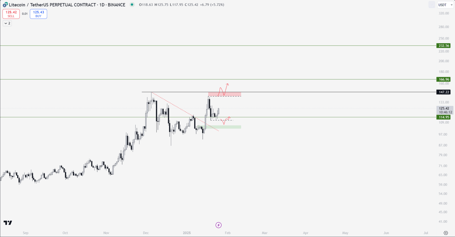 LTC Yorum ve Fiyat Analizi 25.01.2025 - Ninja News