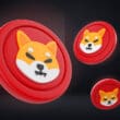 Shiba Inu (SHIB) Coin Nasıl Alınır?