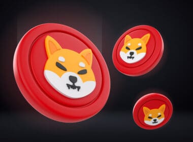 Shiba Inu (SHIB) Coin Nasıl Alınır?