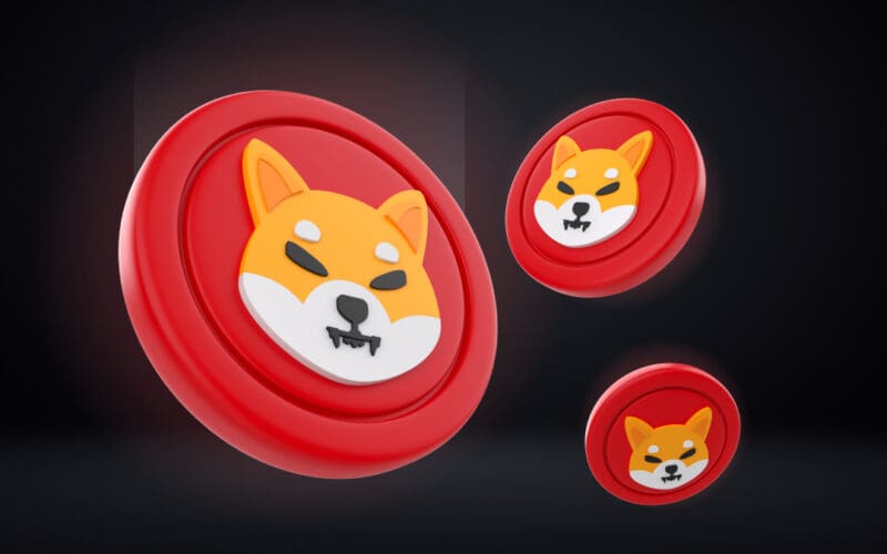 Shiba Inu (SHIB) Coin Nasıl Alınır?