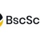 BscScan Nedir? Binance Smart Chain (BSC) Üzerindeki İşlemleri Takip Etme Rehberi