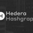 Hedera (HBAR) Nasıl Alınır?