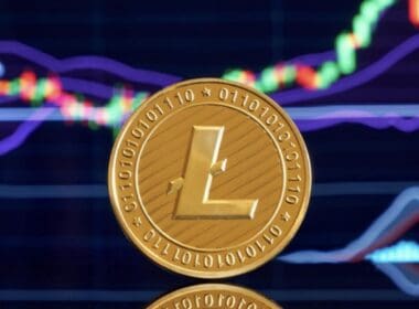 Spot Litecoin ETF’i DTCC Listesine Eklendi