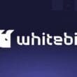 WhiteBit Borsası Nedir? Dünyanın En Güvenli Kripto Para Borsası Olduğu Doğru mu?