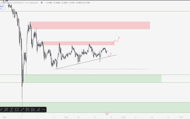 XRP Yorum ve Fiyat Analizi 13.02.2025