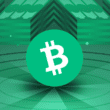 Bitcoin Cash (BCH) Coin Nasıl Alınır?