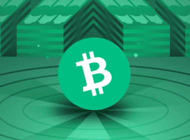 Bitcoin Cash (BCH) Coin Nasıl Alınır?