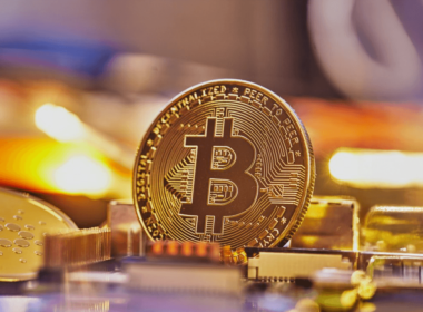Ekonomist Saifedean Ammous: “Tahvil Piyasası Trump’ı Yendi, Bitcoin Kazanacak”