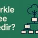 Verkle Tree Nedir? Ethereum’un Veri Yapısında Merkle Ağacına Alternatif Yeni Model