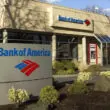 BofA’dan Piyasa Analizi: Zayıflayan Dolar ve Çin Toparlanması Boğa Piyasasına Öncülük Edecek