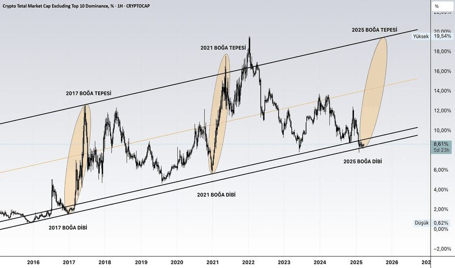 OTHERS MARKETCAP Nedir 2