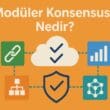 Modüler Konsensus Nedir? Shared Sequencer ve Execution Rollups’ın Ayrıştırılması