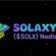 Solaxy ($SOLX) Nedir? Solana’nın İlk Layer-2 Ağı