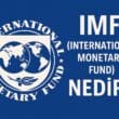 IMF (International Monetary Fund) Nedir? Uluslararası Para Fonu’nun Rolü, Araçları ve Tartışmalı Yönleri
