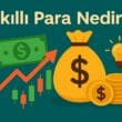 Akıllı Para Nedir? Finansal Ekosistem Üzerindeki Etkisi ve Yatırım Stratejilerine Katkısı