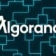 Algorand (ALGO) Nasıl Alınır?