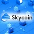 Skycoin (SKY) Nasıl Alınır?
