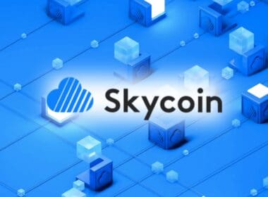 Skycoin (SKY) Nasıl Alınır?