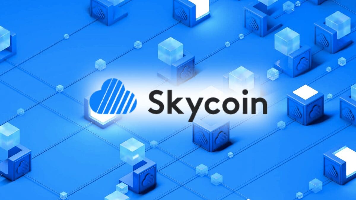 Skycoin (SKY) Nasıl Alınır?