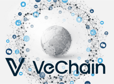 VeChain (VET) Coin Nasıl Alınır?