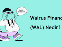 Walrus Finance (WAL) Nedir? Nasıl Alınır? Geleceği, Künyesi, Satın Almadan Önce Bilinmesi Gerekenler