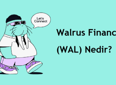 Walrus Finance (WAL) Nedir? Nasıl Alınır? Geleceği, Künyesi, Satın Almadan Önce Bilinmesi Gerekenler