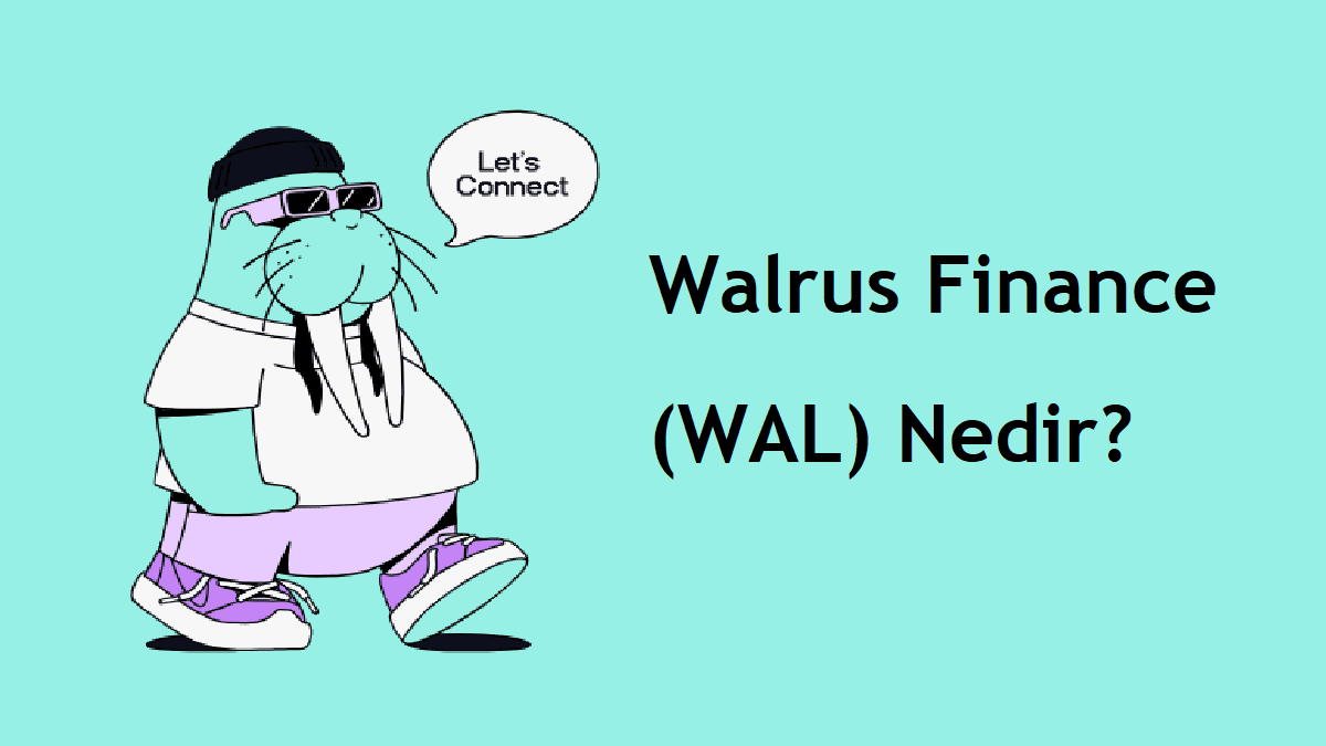 Walrus Finance (WAL) Nedir? Nasıl Alınır? Geleceği, Künyesi, Satın Almadan Önce Bilinmesi Gerekenler