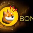 Bonk (BONK) Coin Nasıl Alınır?