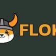 FLOKI (FLOKI) Coin Nasıl Alınır?