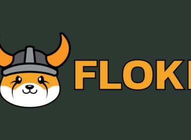 FLOKI (FLOKI) Coin Nasıl Alınır?