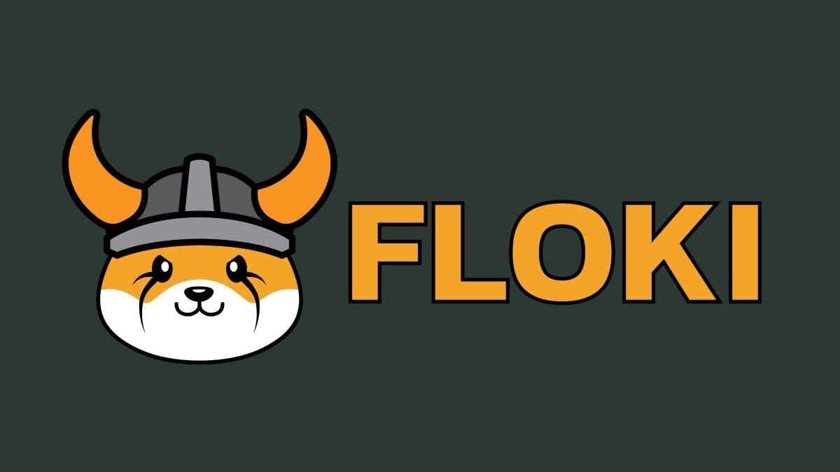 FLOKI (FLOKI) Coin Nasıl Alınır?