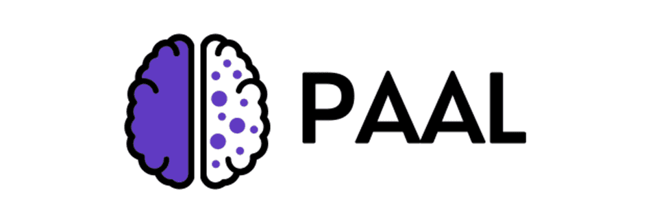 PAAL AI Nedir 3