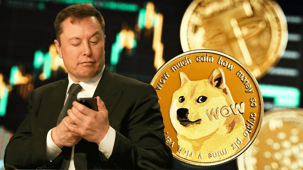 Elon Musk Kripto Sessizliğinde 3